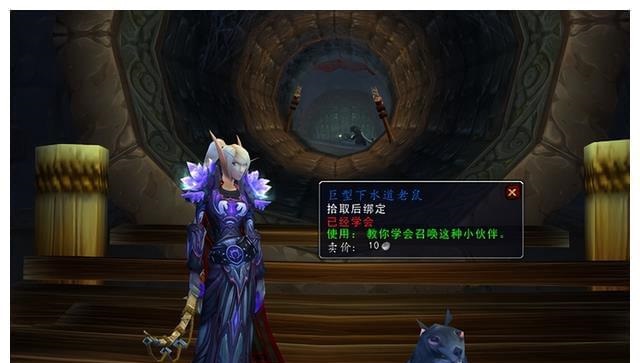 WLK可获两个稀有物品的休闲党必备专业