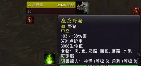 7.webp