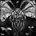spell_shadow_contagion