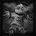 spell_shadow_shadowpact